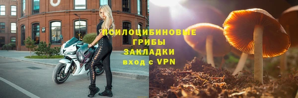 Альфа ПВП Армянск